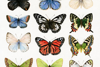 hand paint scientific watercolor animal illustrations