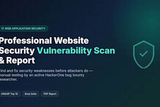 perform a website security vulnerability assessment
