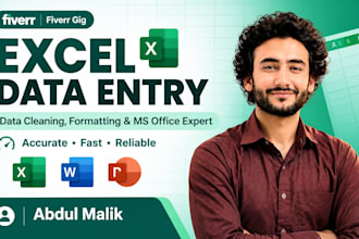 do excel data entry, data cleaning and formatting