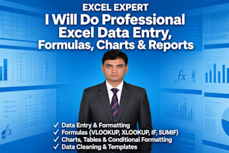 be your microsoft excel expert for spreadsheets, data entry