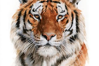 create realistic animal illustration