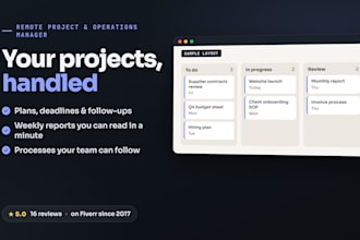 be your remote project and operations manager