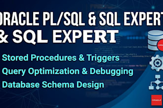 write, debug, and optimize oracle pl sql procedures and queries