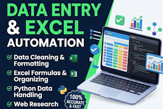do data entry, data cleaning, excel and python data handling