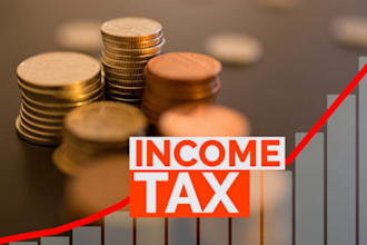 do finance consultation and income tax and gst complaince