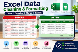 lean, format, merge and organize excel data
