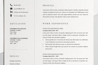 create a professional resume and CV