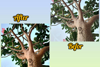 create image with best quality for you