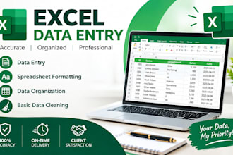 excel data entry and spreadsheet formatting
