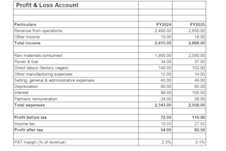 organize  financial data and create excel expense trackers