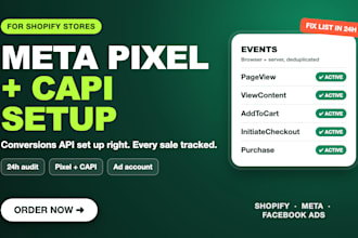 set up meta pixel, conversions api and audit facebook ads for shopify