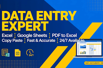 do fast data entry, excel work and google sheets