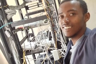 help solve any software or network issue you have remotely