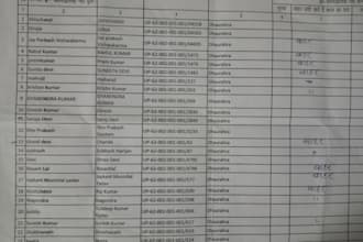 do professional data entry exel copy paste and web research work