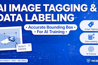 do accurate image tagging and data labeling for ai training