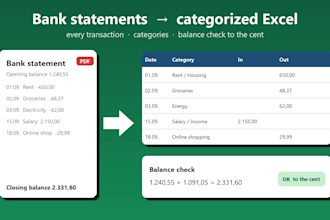 convert your bank statements into a categorized excel