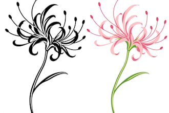create custom minimalist floral and blackwork tattoos