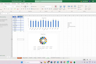 do excel data entry, data cleaning and spreadsheet formatting