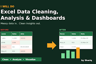 excel data cleaning, data analysis, and data visualization