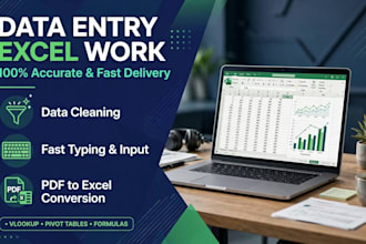 do data entry,data cleaning and excel work