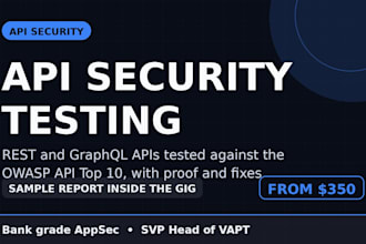 test your API security for rest and graphql apis