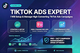 setup and manage tiktok ads for sale and leads