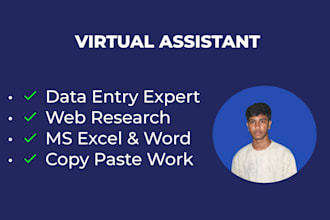 be your professional virtual assistant for data entry