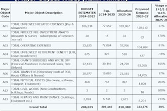 create excel budget spreadsheets and financial reports