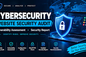 provide cybersecurity, website security audit, vulnerability assessment