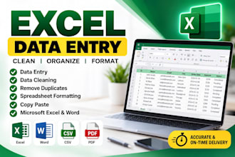 excel data entry and formatting