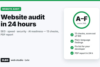 do a website audit for SEO, speed, security and ai readiness