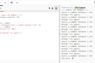 teach you python programming fundamentals