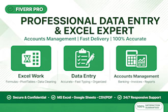 do data entry, excel work and accounts management