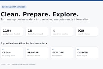 clean prepare and explore your business data professionally