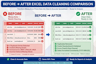 do excel data cleaning, formatting and remove duplicates