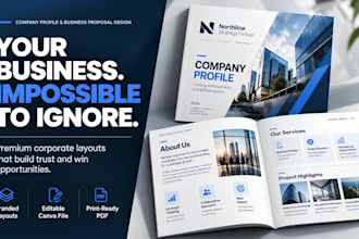 design a professional company profile and business proposal