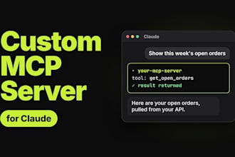 build a custom mcp server or claude connector for your API or database