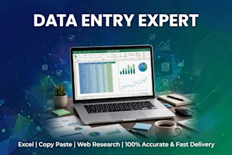 data entry, copy paste and web research fast