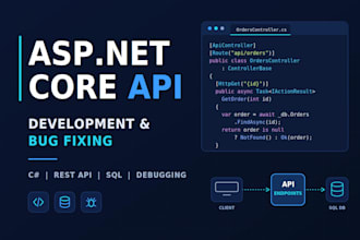 dotnet core API development and bug fixing