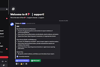 setup a professional discord server with bots, roles, and auto mod