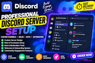 setup a professional custom discord server for your community