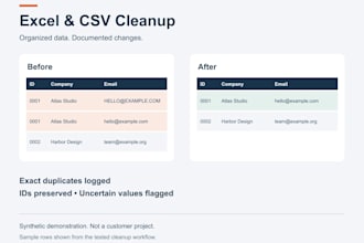 clean your excel or CSV data and document every change