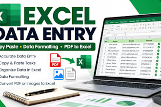 do accurate exel data entry and copy paste work