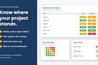 create a project status report and risk register in excel