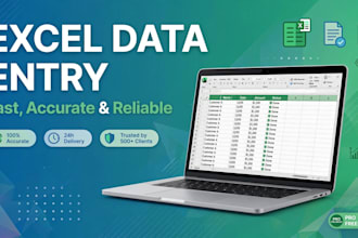 do accurate data entry excel and admin support