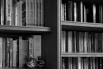 be your beta profesional reader for your novel or story in spanish