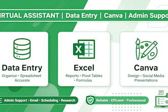 be your virtual assistant for data entry, excel and canva