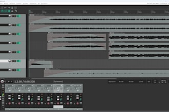 do audio editing, noise reduction and file conversion