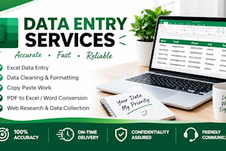 do accurate data entry and excel data cleaning