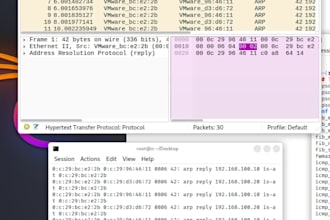penetration test and vulnerability assess your web application